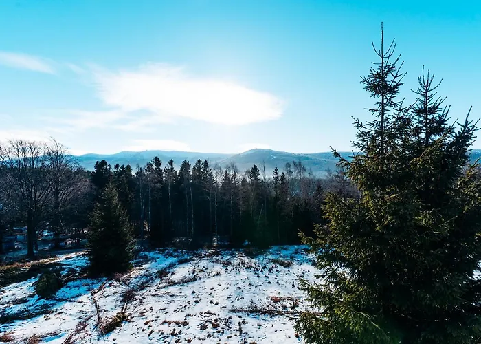 公寓 Widokowka 12 *